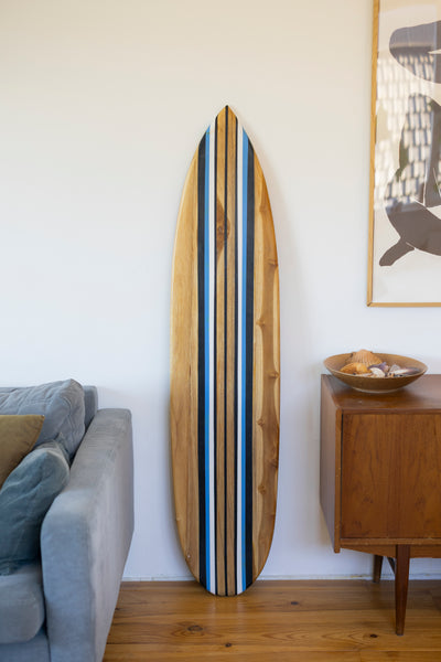 Tidez Bluebird 160cm