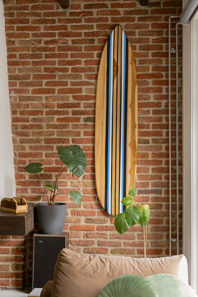 Tidez Bluebird 160cm