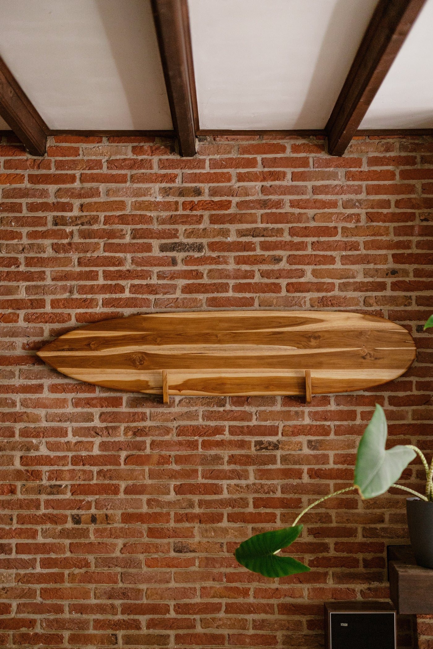 Tidez Plain Swift 160cm